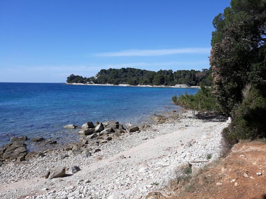Apartamento Seaview Rovinj